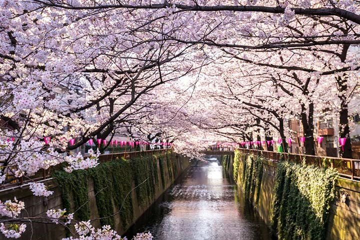 Imagen de viaje LAT.40