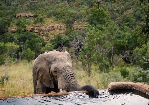 Clifftop Exclusive Safari Hideaway en The Waterberg
