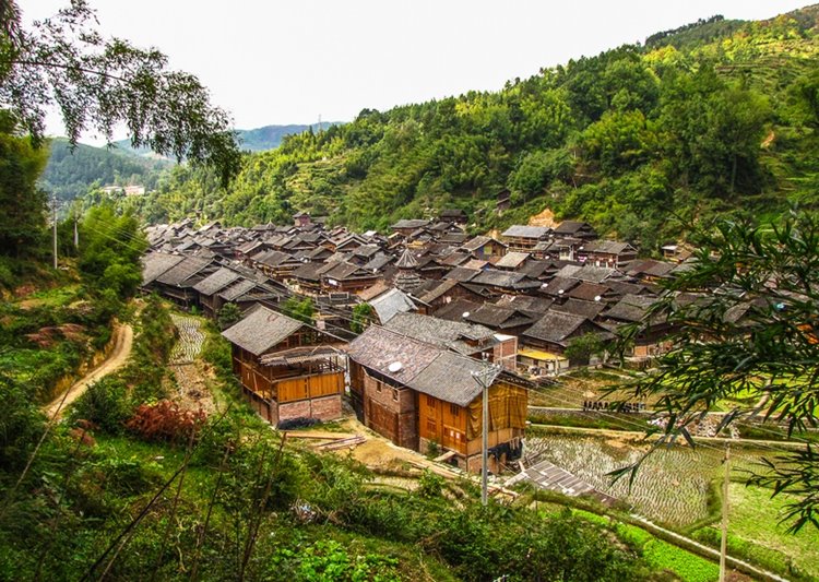 Zhaoxing | LAT.40