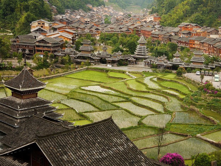 Zhaoxing | LAT.40