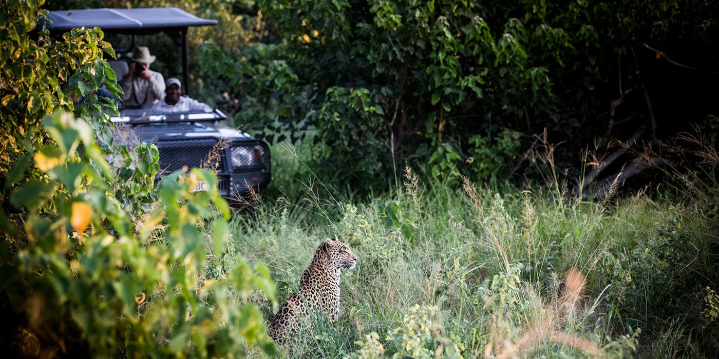 Abu Camp en Delta Okavango