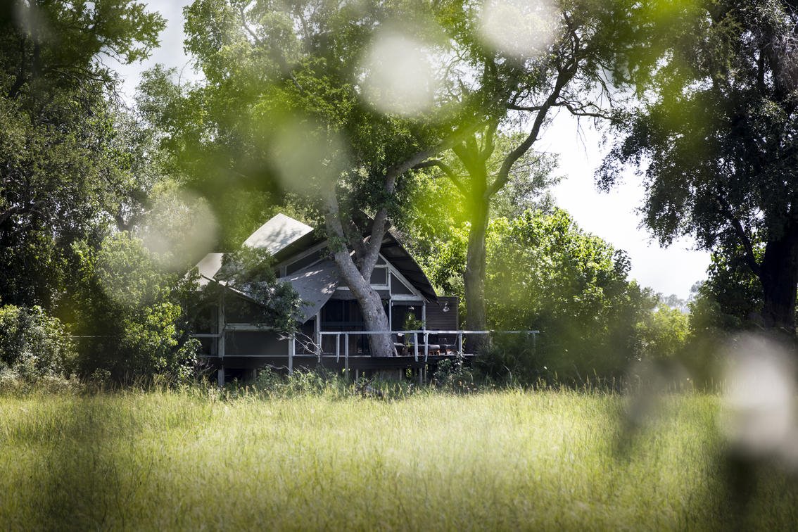 Abu Camp en Delta Okavango
