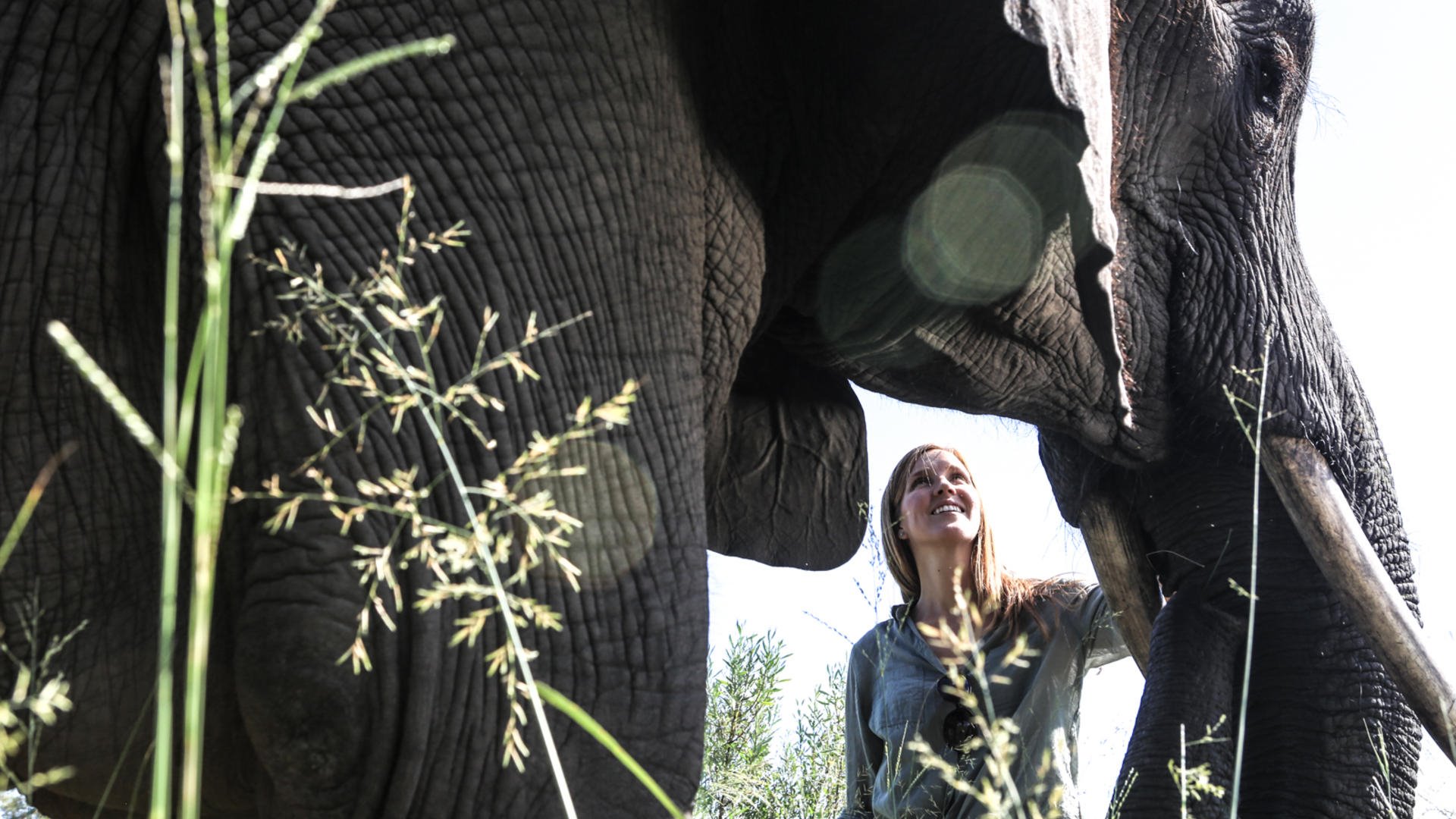 Abu Camp en Delta Okavango