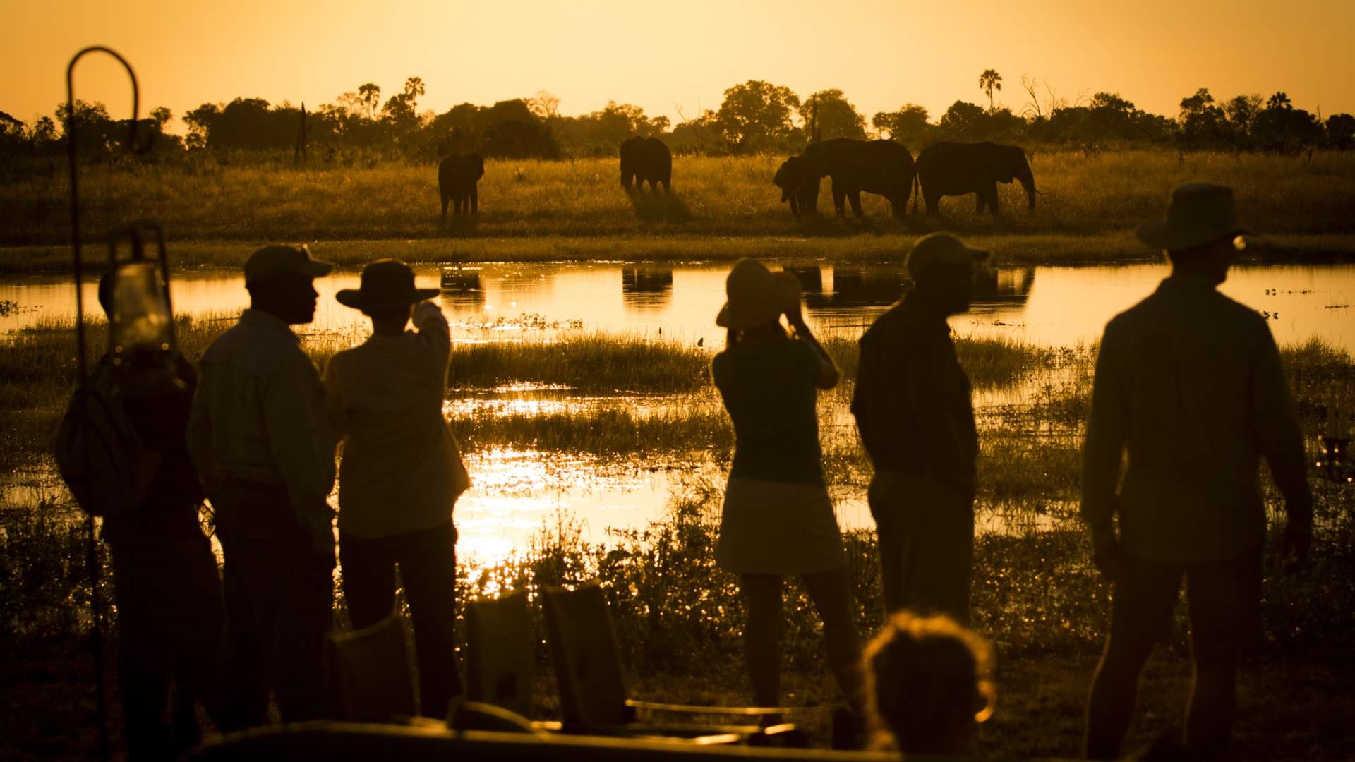 Abu Camp en Delta Okavango