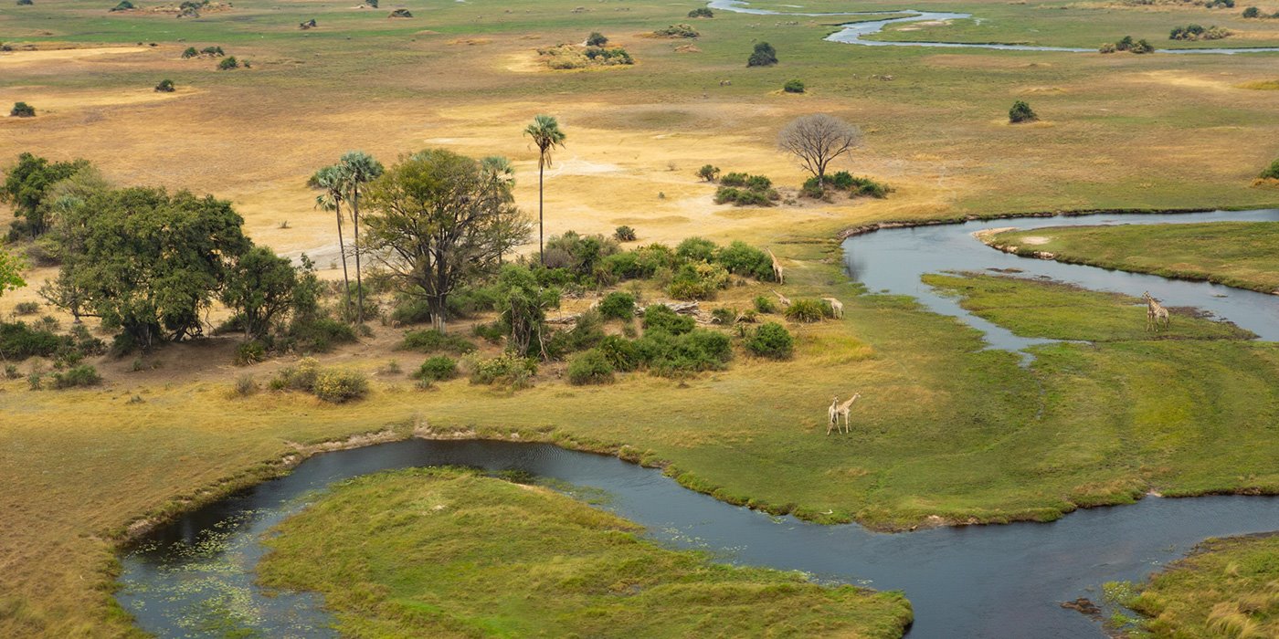 Abu Camp en Delta Okavango