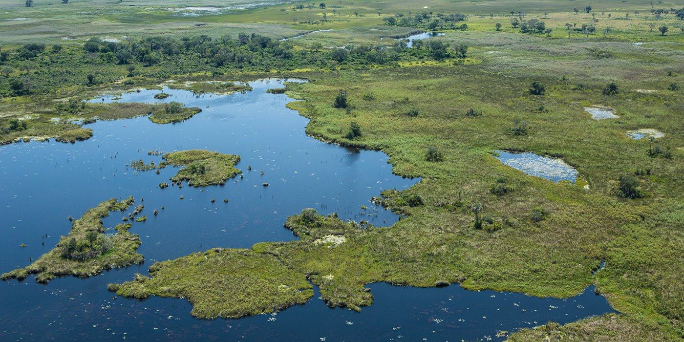 Abu Camp en Delta Okavango