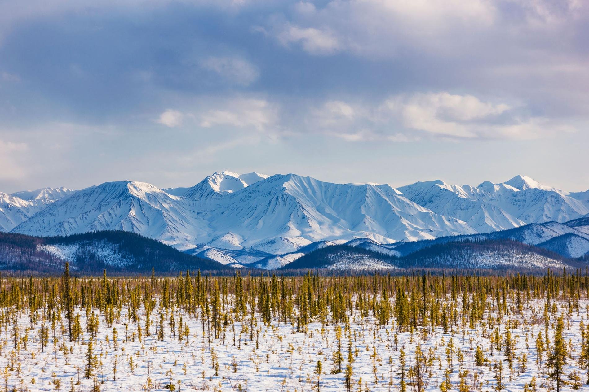 Alaska | LAT.40