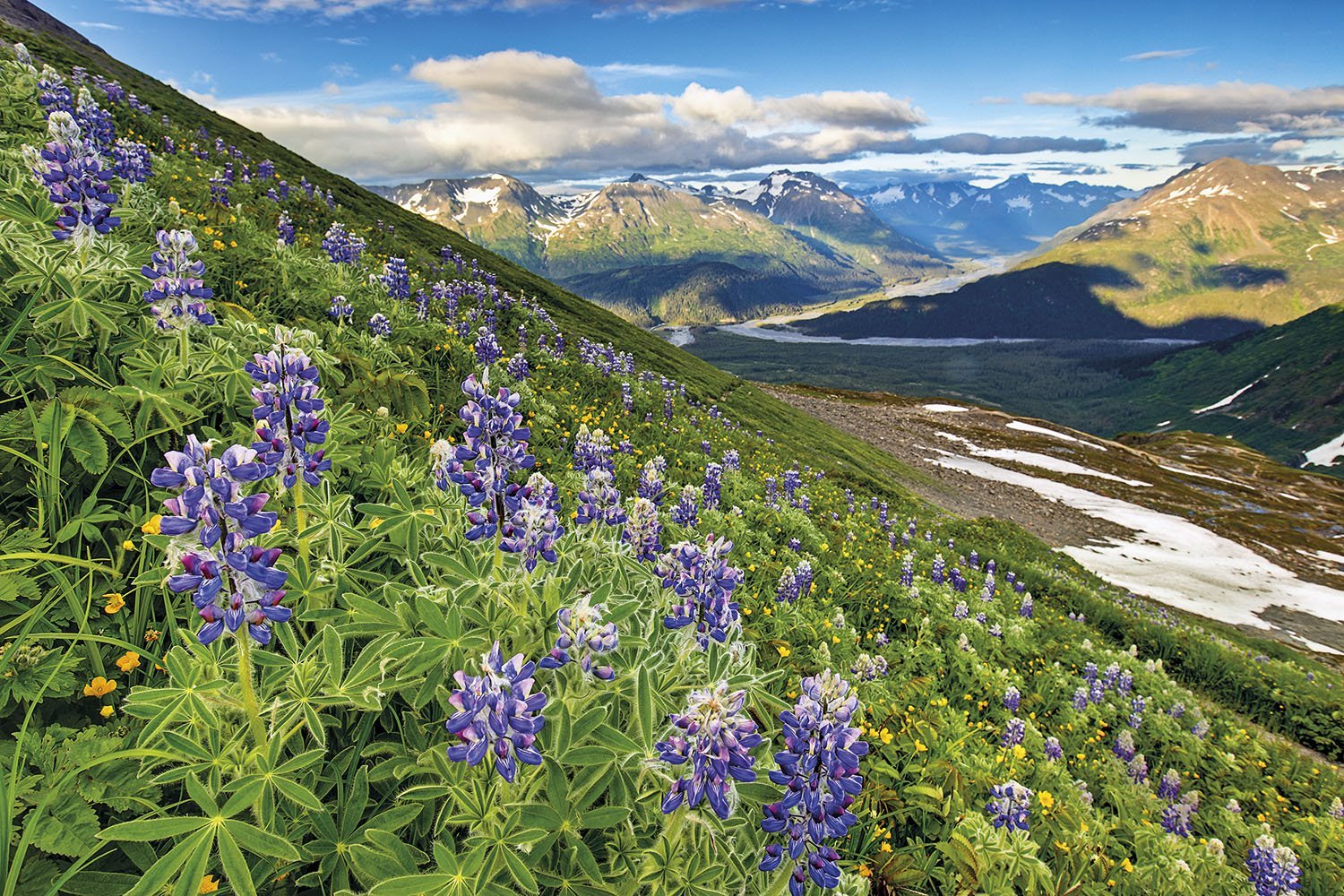 Alaska | LAT.40