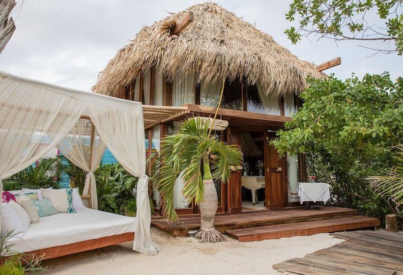 Aruba Ocean Villas  en Aruba
