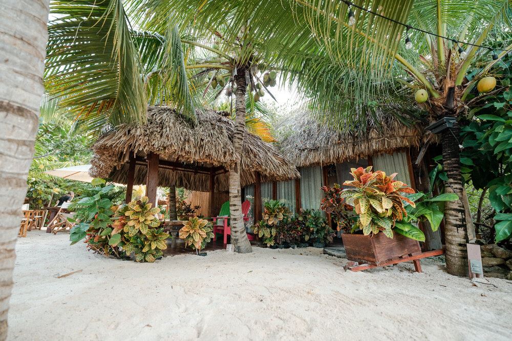 Aruba Ocean Villas  en Aruba