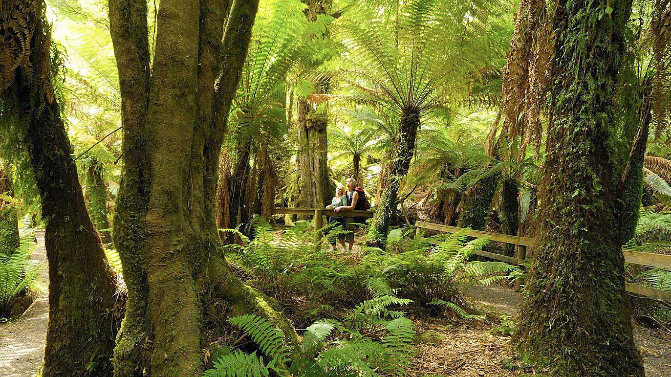 Callignee II Eco Bush Retreat en Australia
