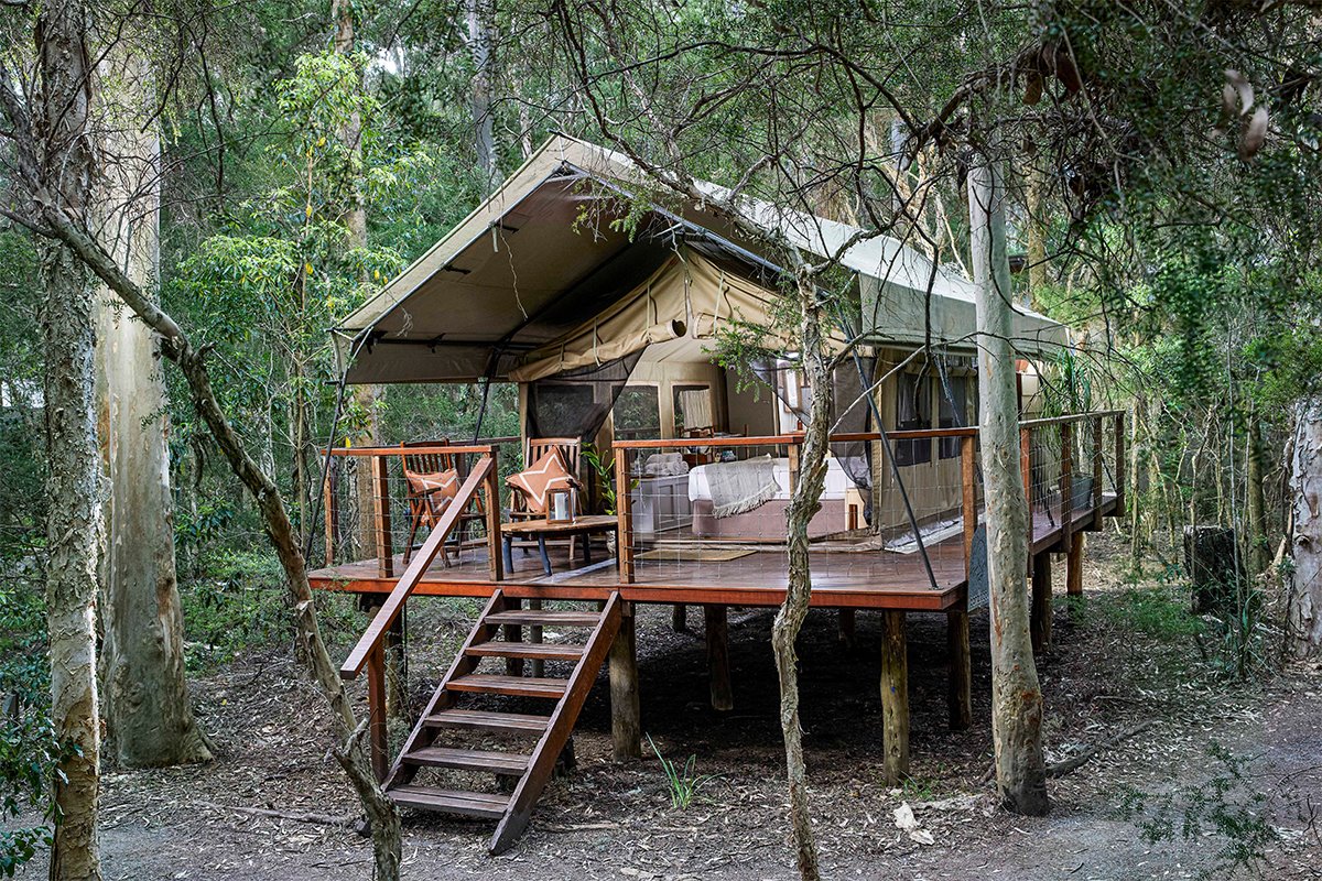 Paperbark Camp en Australia