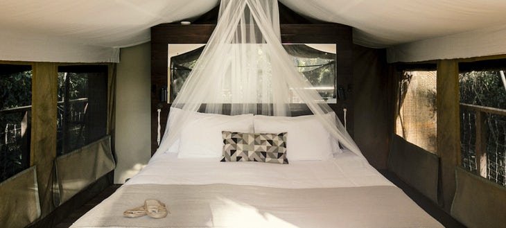 Paperbark Camp en Australia