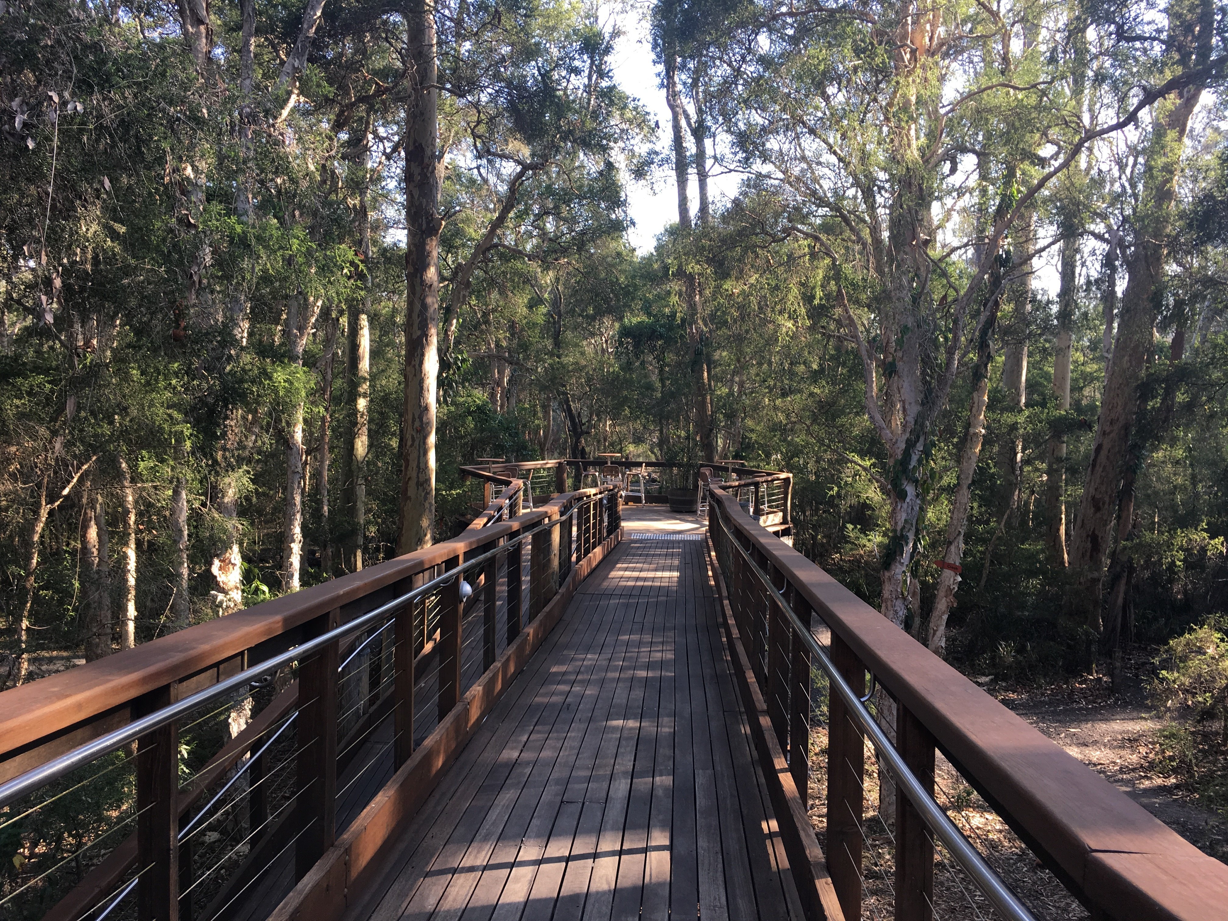 Paperbark Camp en Australia