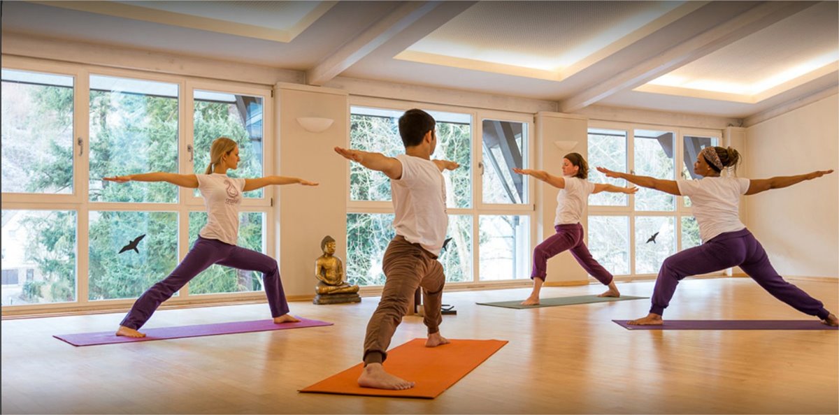 Ayurveda Parkschlosschen en Alemania