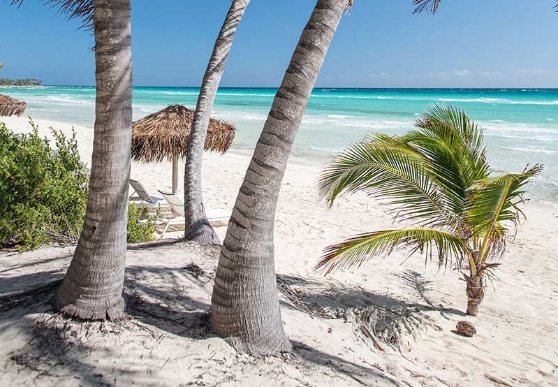 Caerula Mar Club en Andros Island