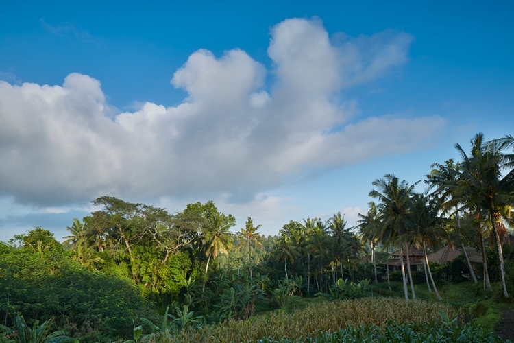 Amandari en Ubud