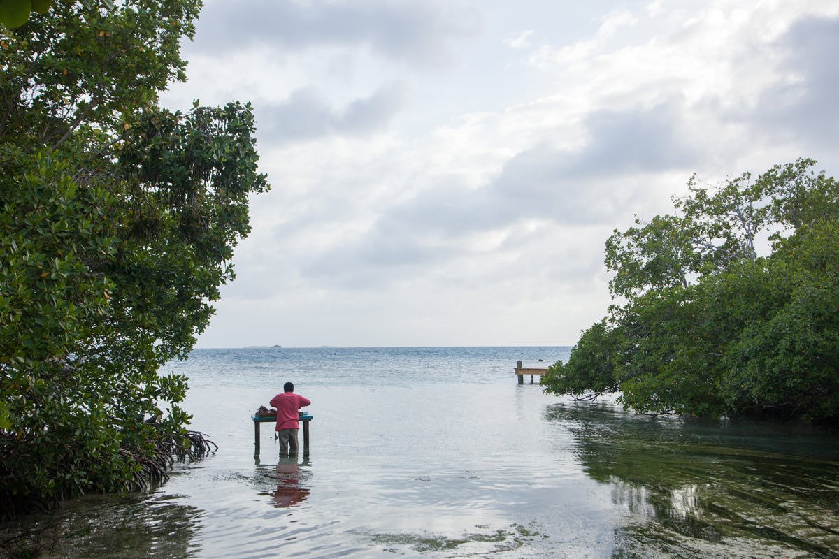 Coral Caye en Belize