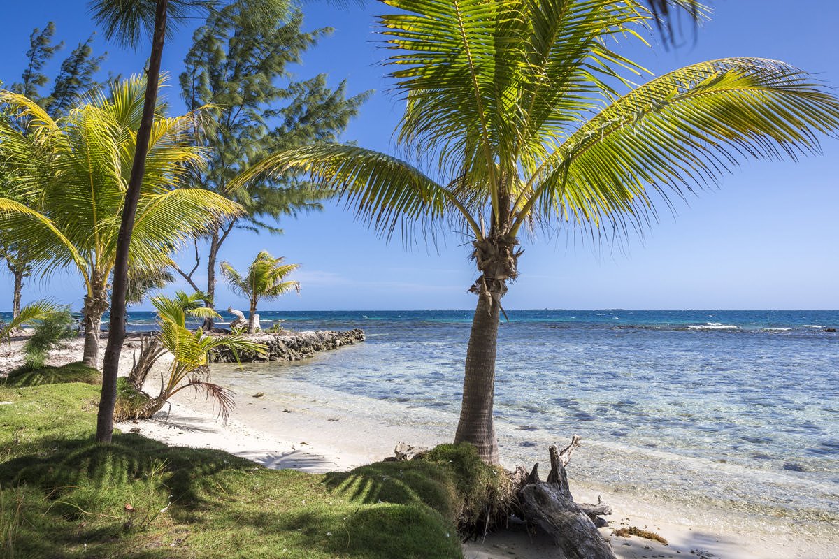 Coral Caye en Belize