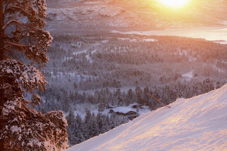 Bjornfjell Mountain Lodge en Norway