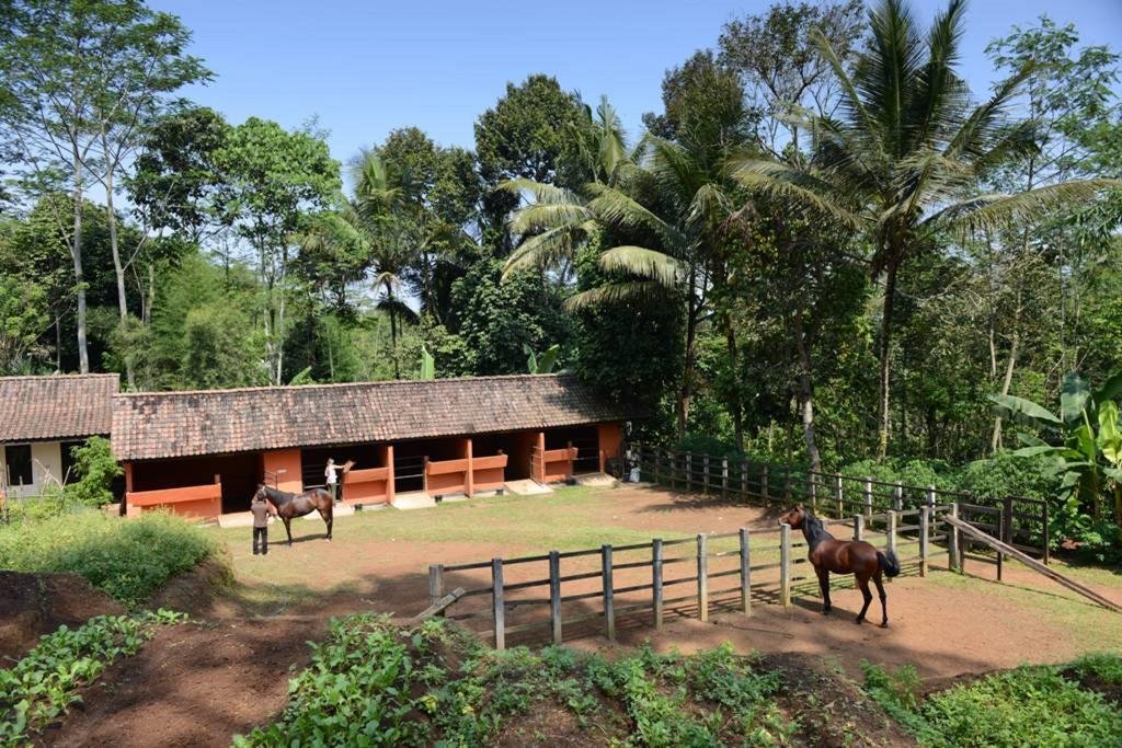 MesaStila Resort en Borobudur