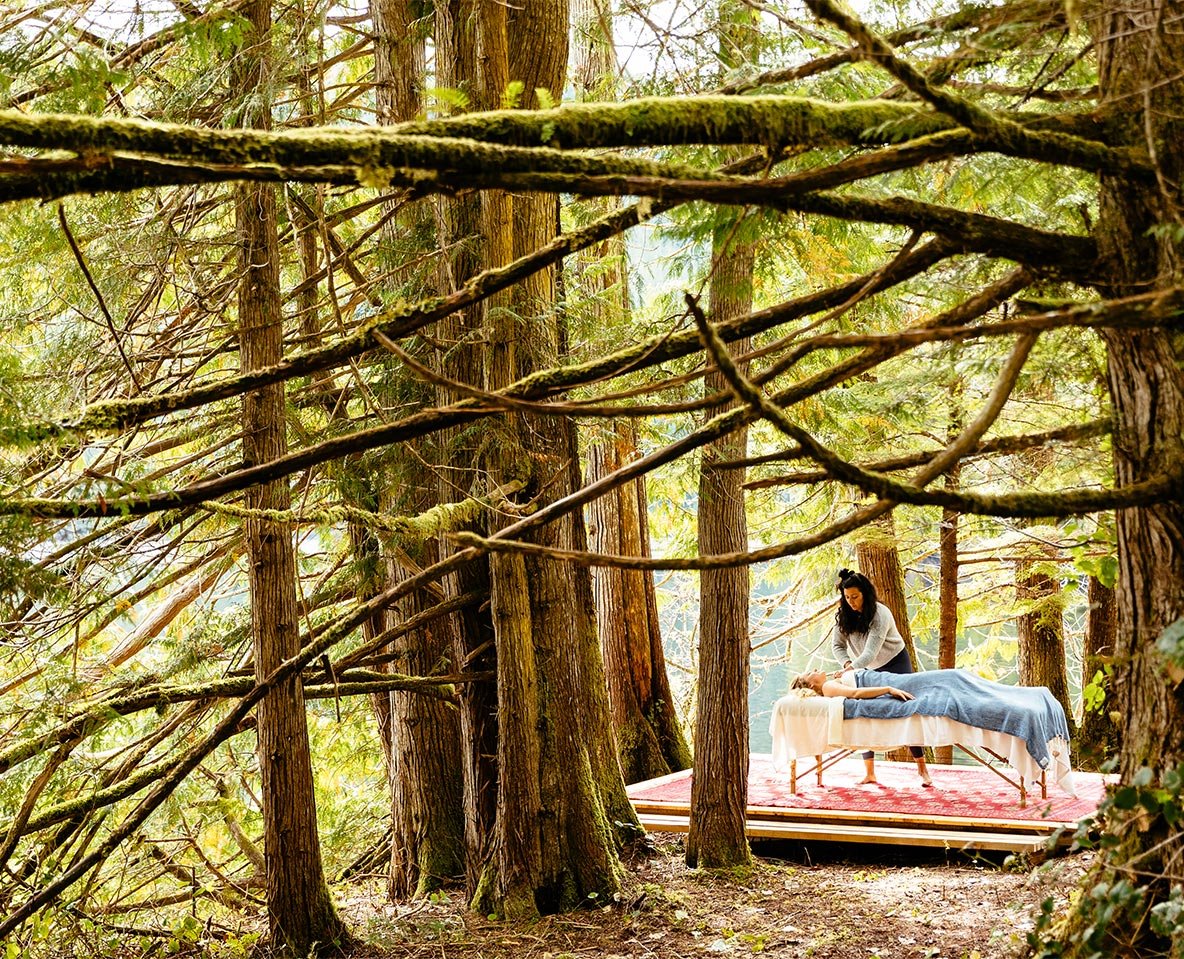 Nimmo Bay Resort en Canada