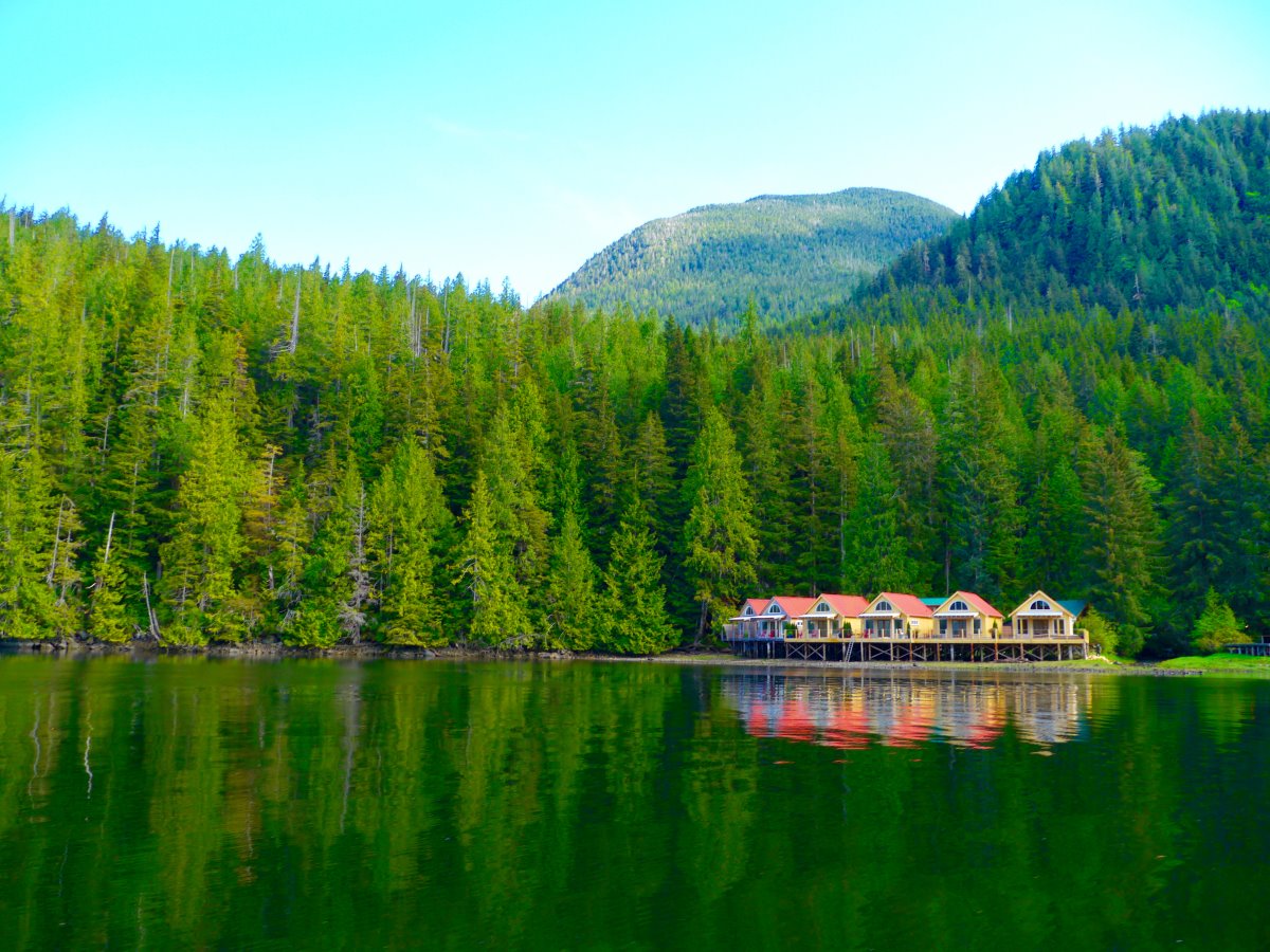 Nimmo Bay Resort en Canada