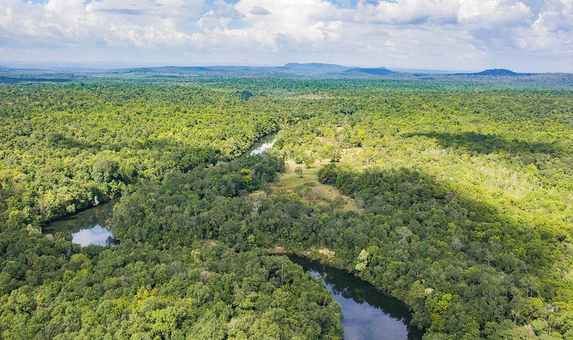 Cardamom National Park | LAT.40