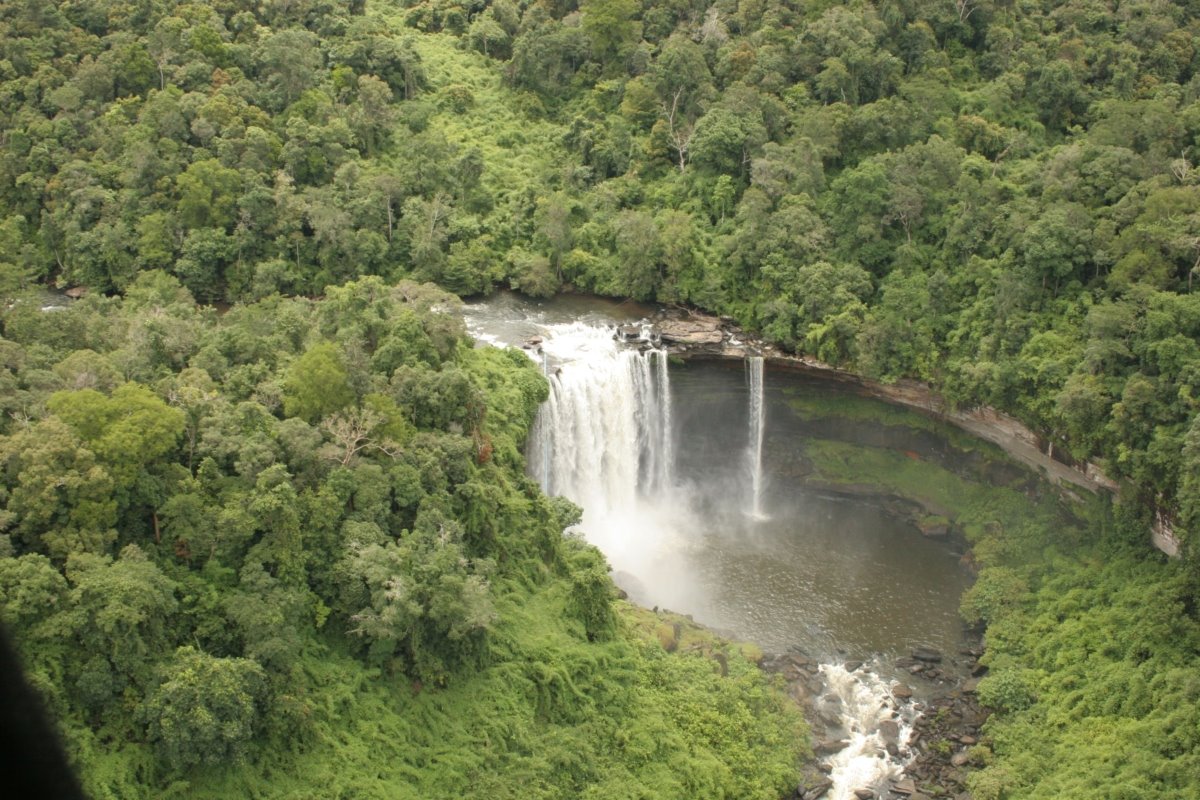 Cardamom National Park | LAT.40