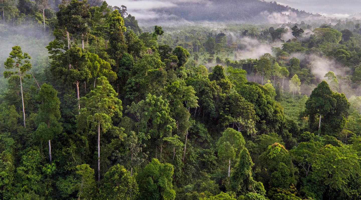 Cardamom National Park | LAT.40