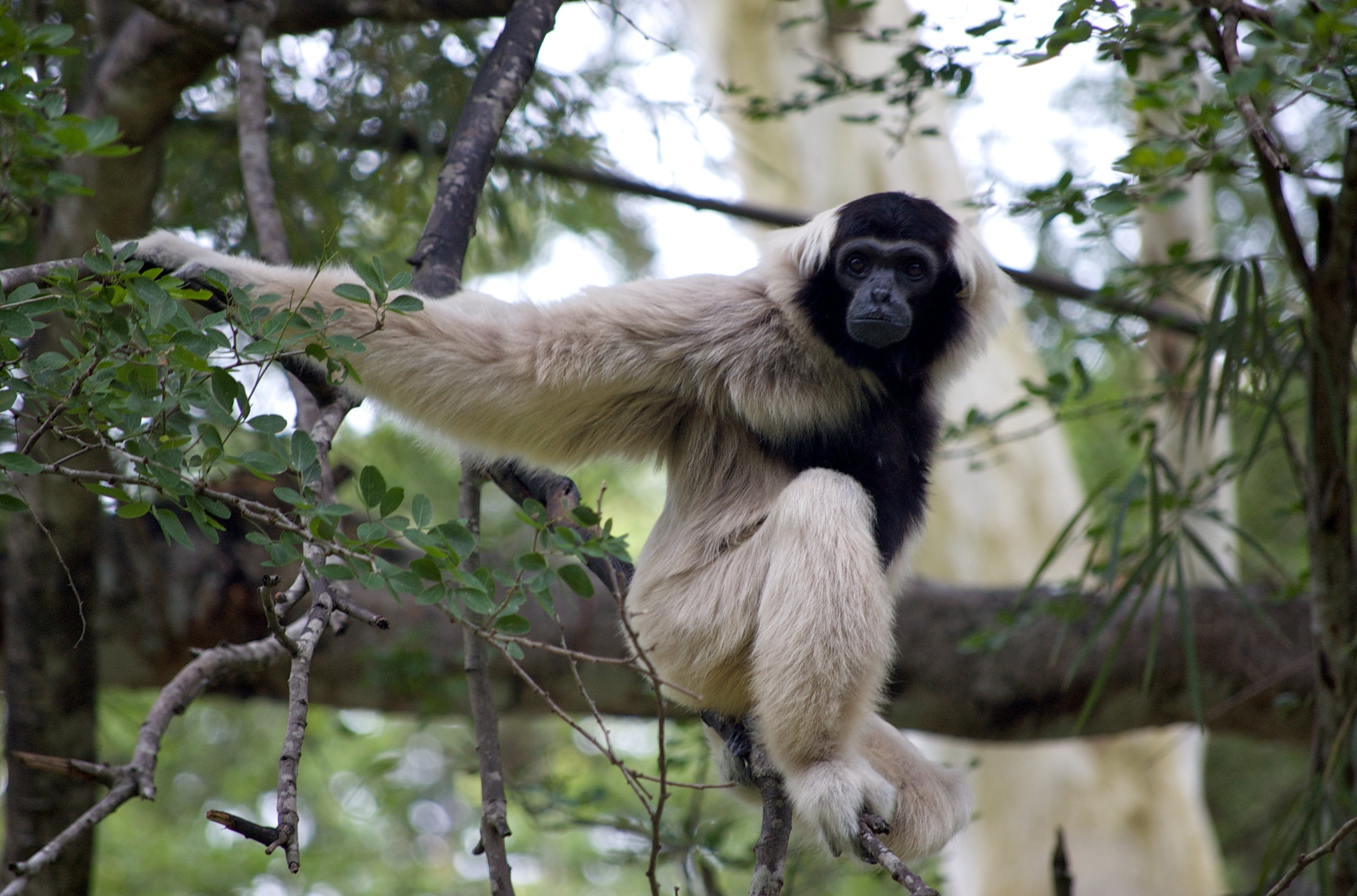 Cardamom National Park | LAT.40