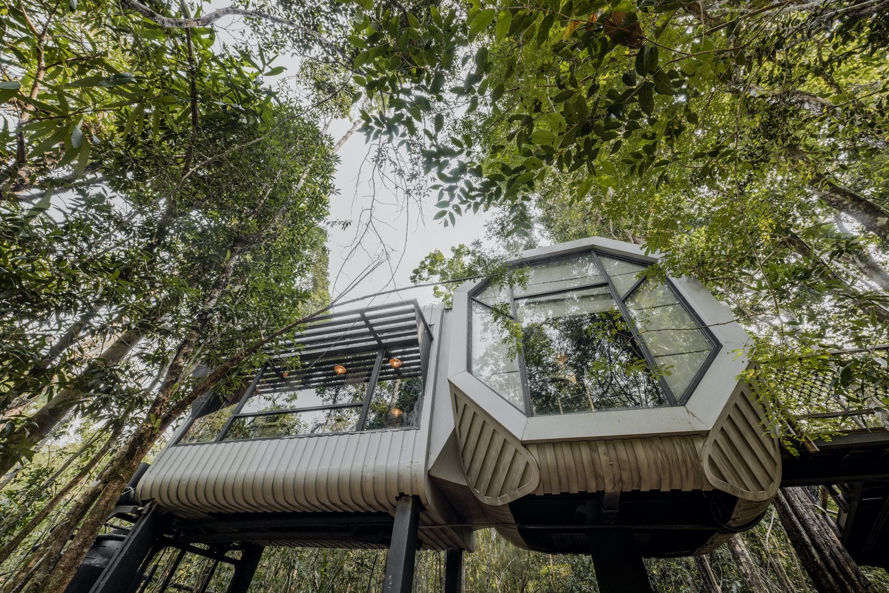 Shinta Mani Wild en Cardamom National Park