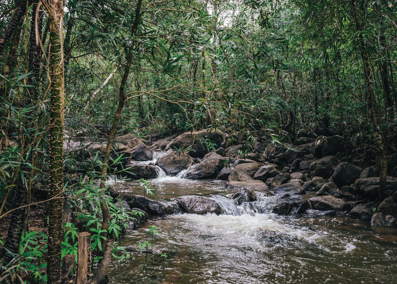 Shinta Mani Wild en Cardamom National Park