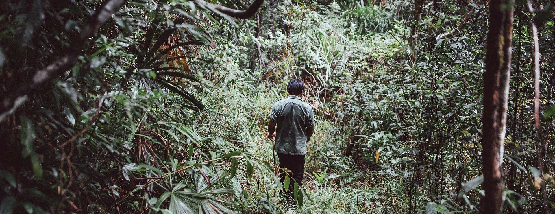 Shinta Mani Wild en Cardamom National Park