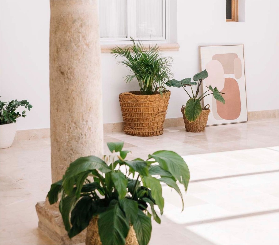 Casa El Bálsamo en Spain