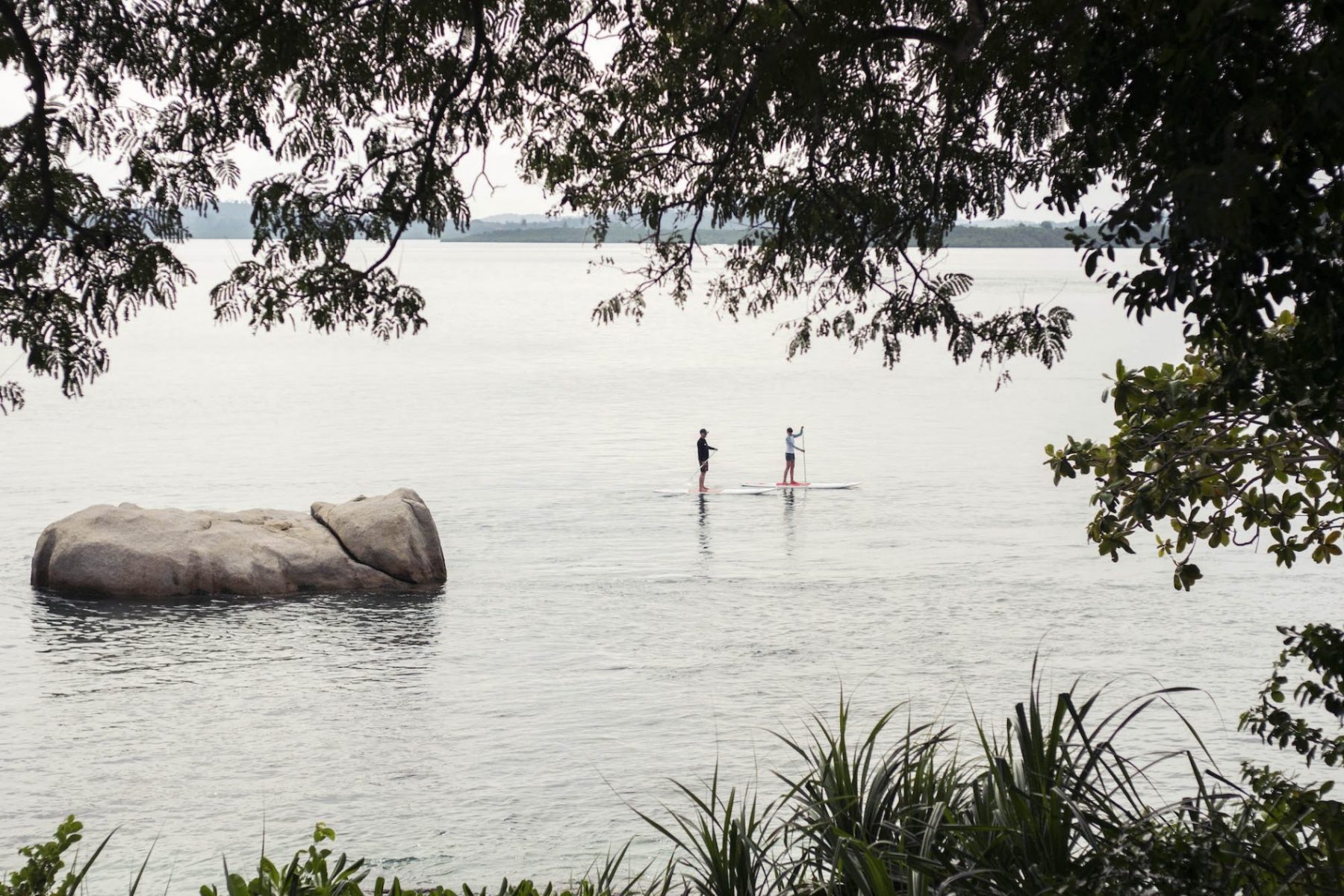 Cempedak en Cempedak Island