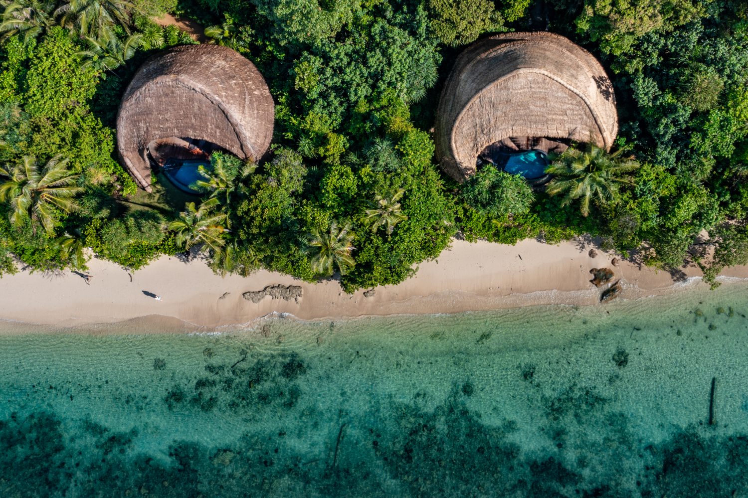 Cempedak en Cempedak Island