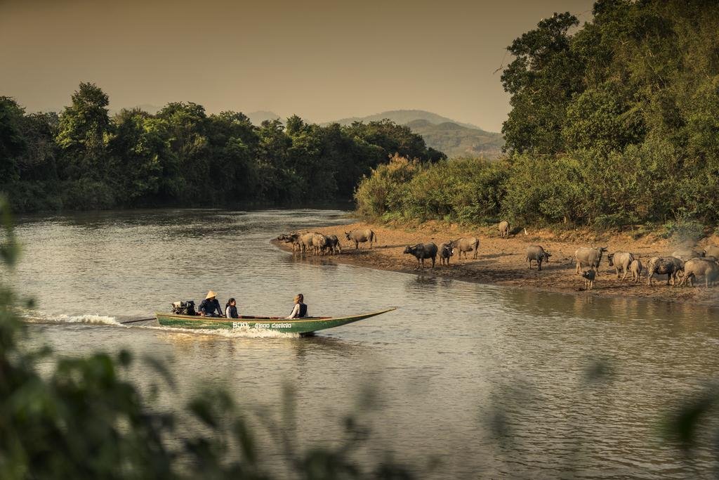 Four Seasons Tented Camp Golden Triangle en Chiang Rai