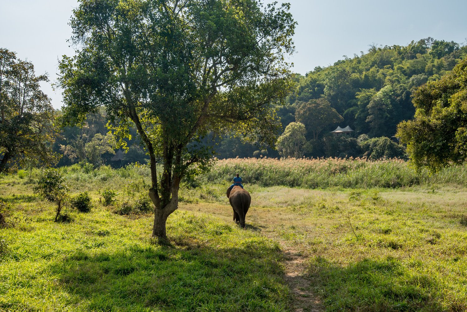 Four Seasons Tented Camp Golden Triangle en Chiang Rai