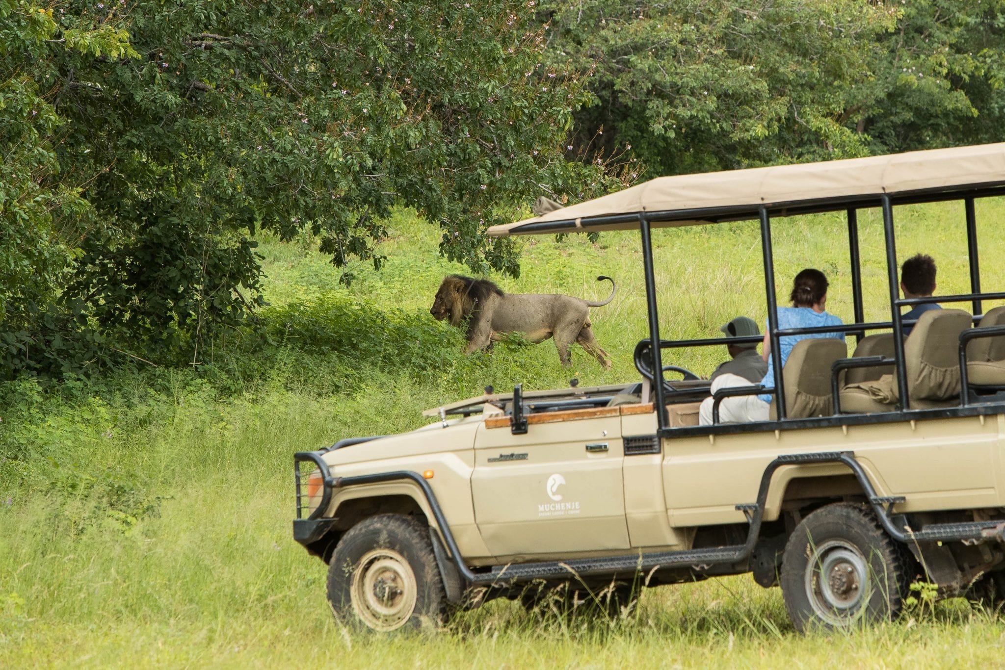 Muchenje Safari Lodge en Chobe