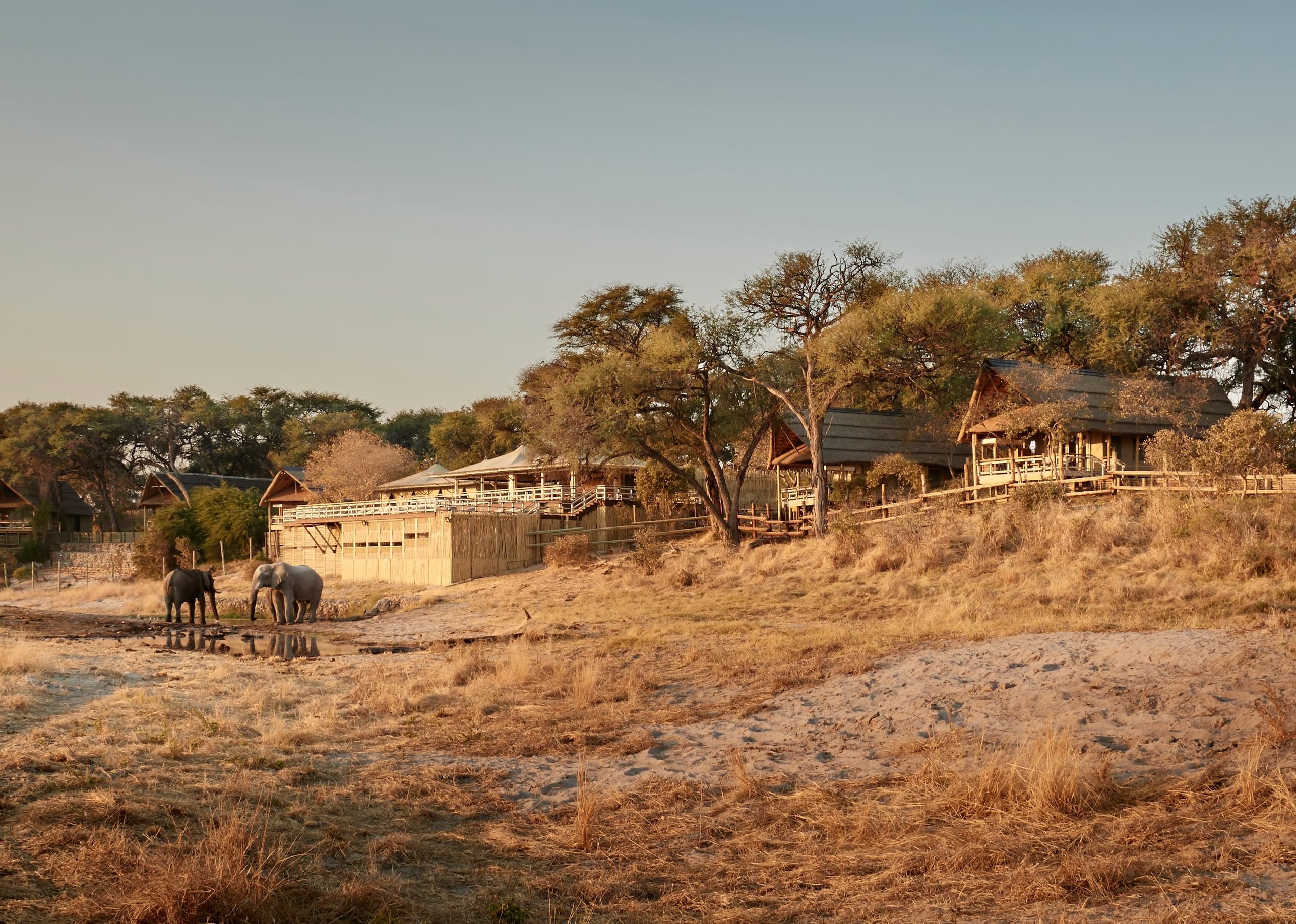 Belmond Savute Elephant Lodge en Chobe