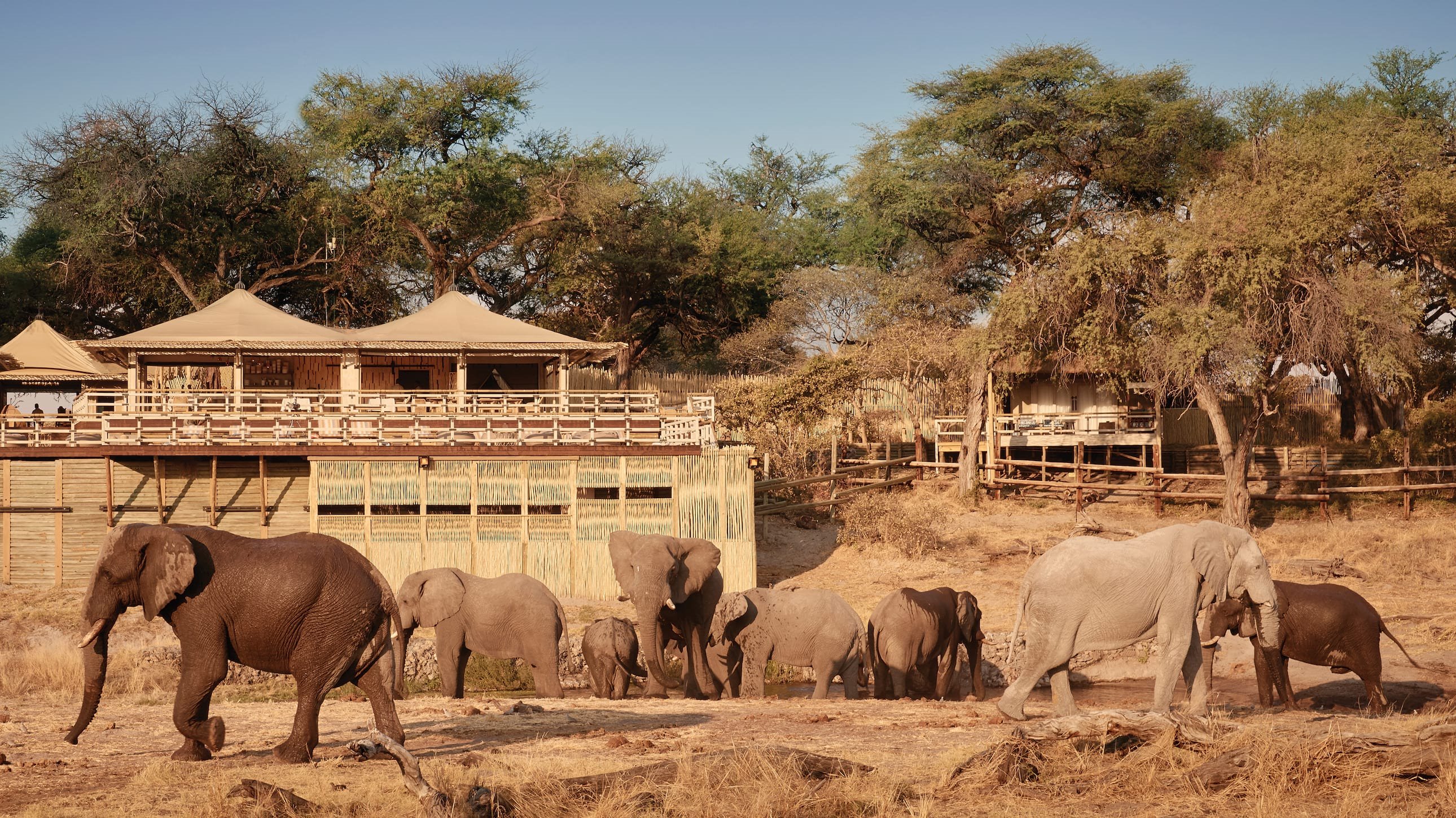 Belmond Savute Elephant Lodge en Chobe