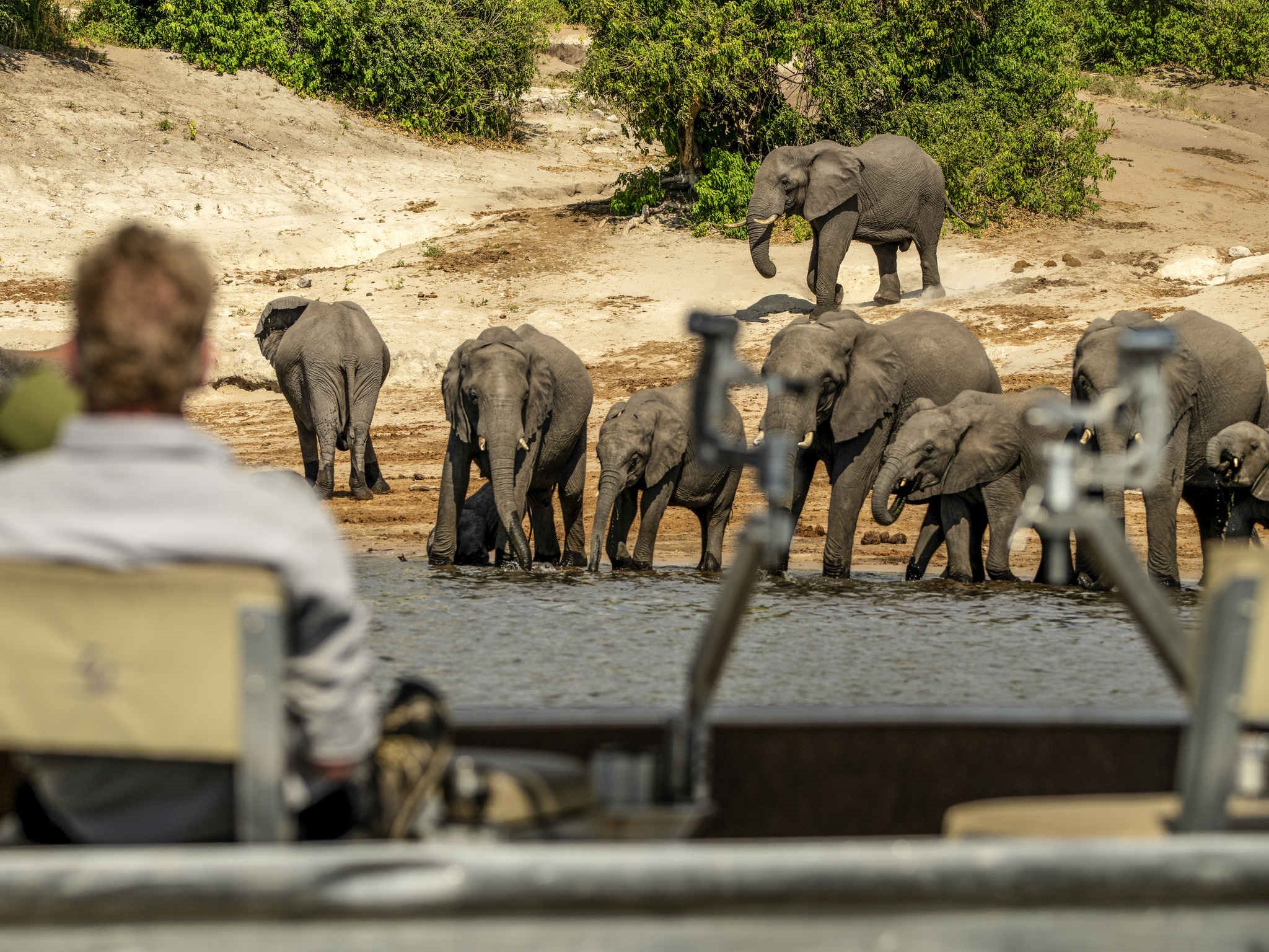 Zambezi Queen en Chobe