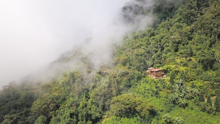 Casa Oropendola en Colombia