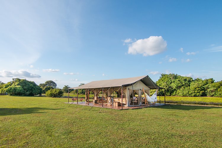 Corocora Camp en Colombia
