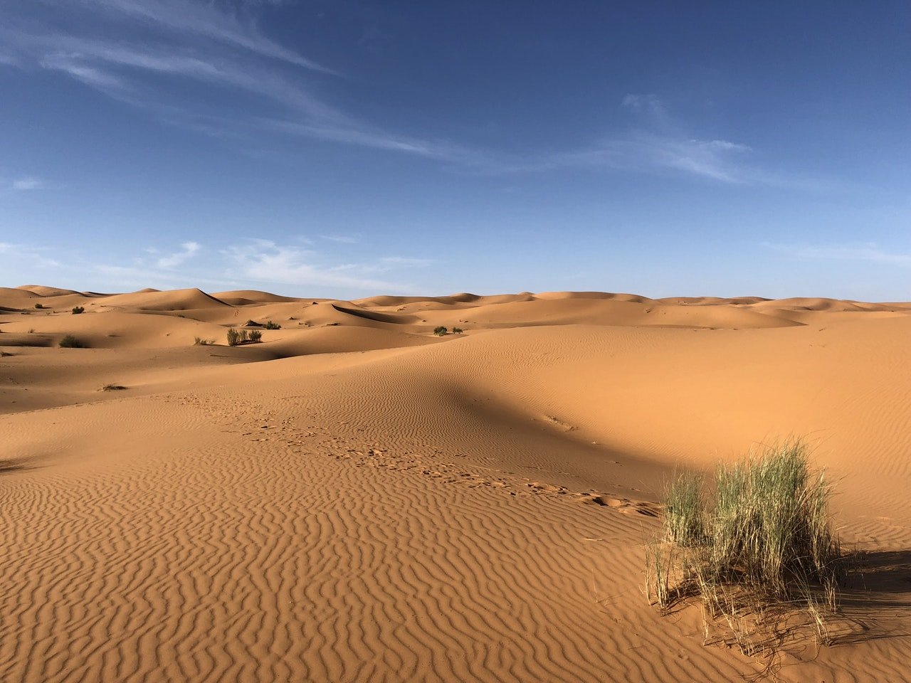 Desierto del Sahara | LAT.40