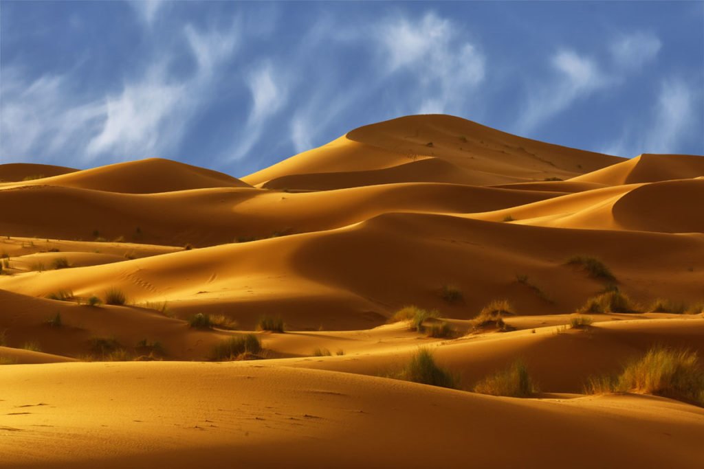 Desierto del Sahara | LAT.40