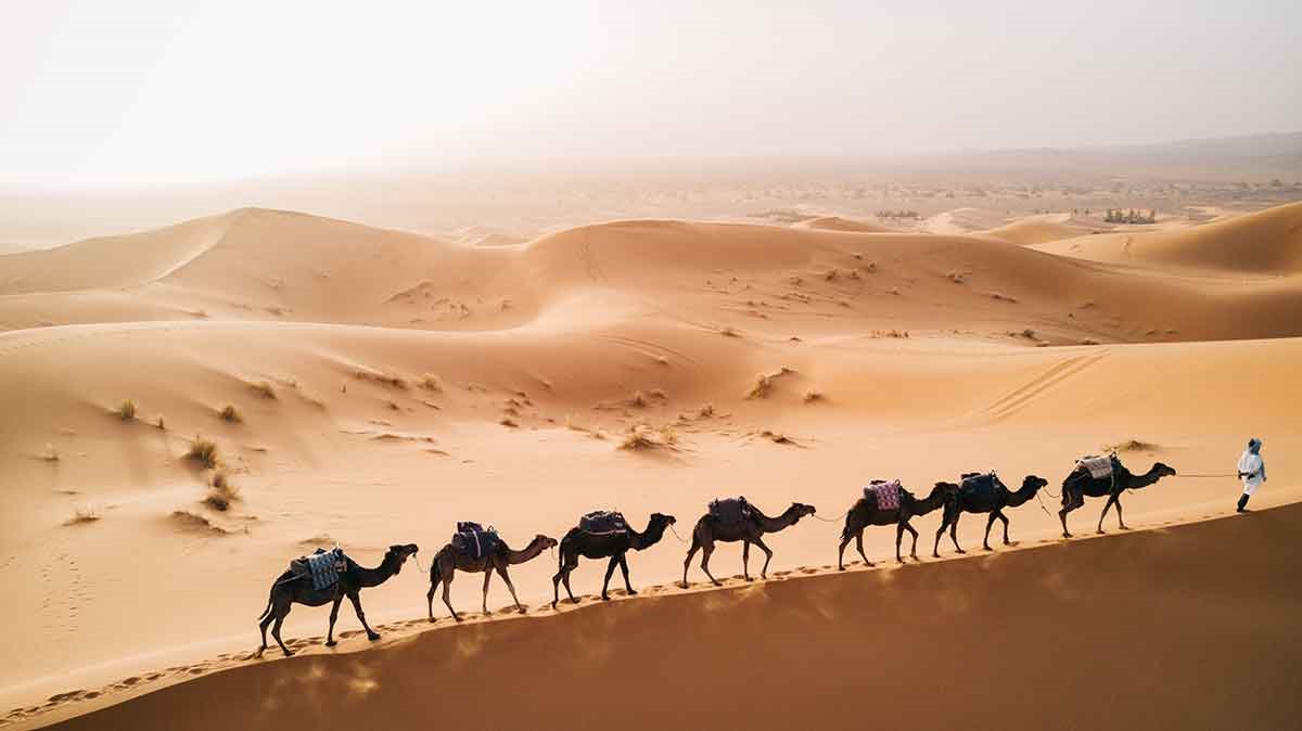 Desierto del Sahara | LAT.40