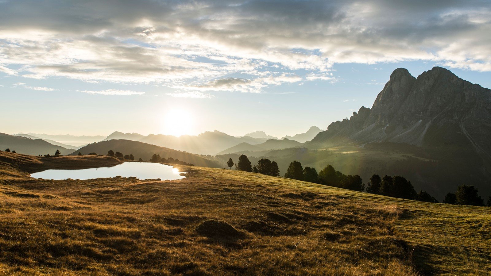 Forestis Dolomites en Alpe di Siusi