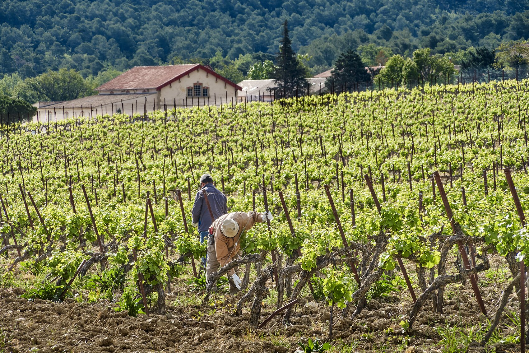 Villa La Coste en France